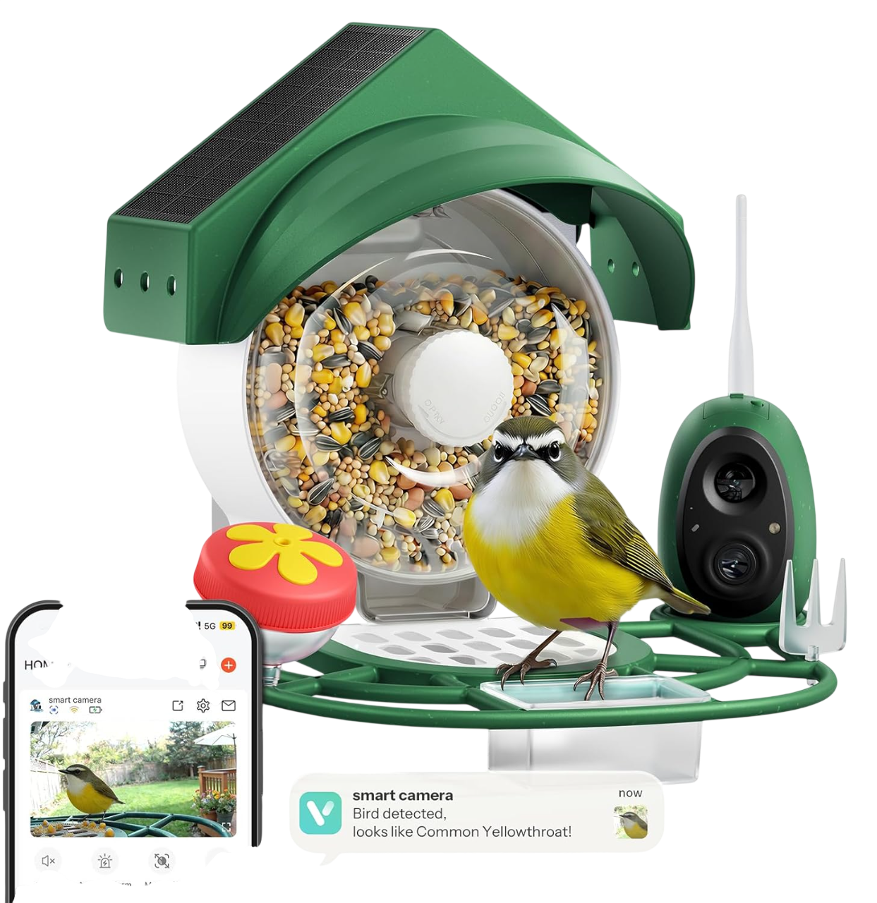 2K HD Smart Bird Feeder, Solar Powered (Green) by Hello Birdie