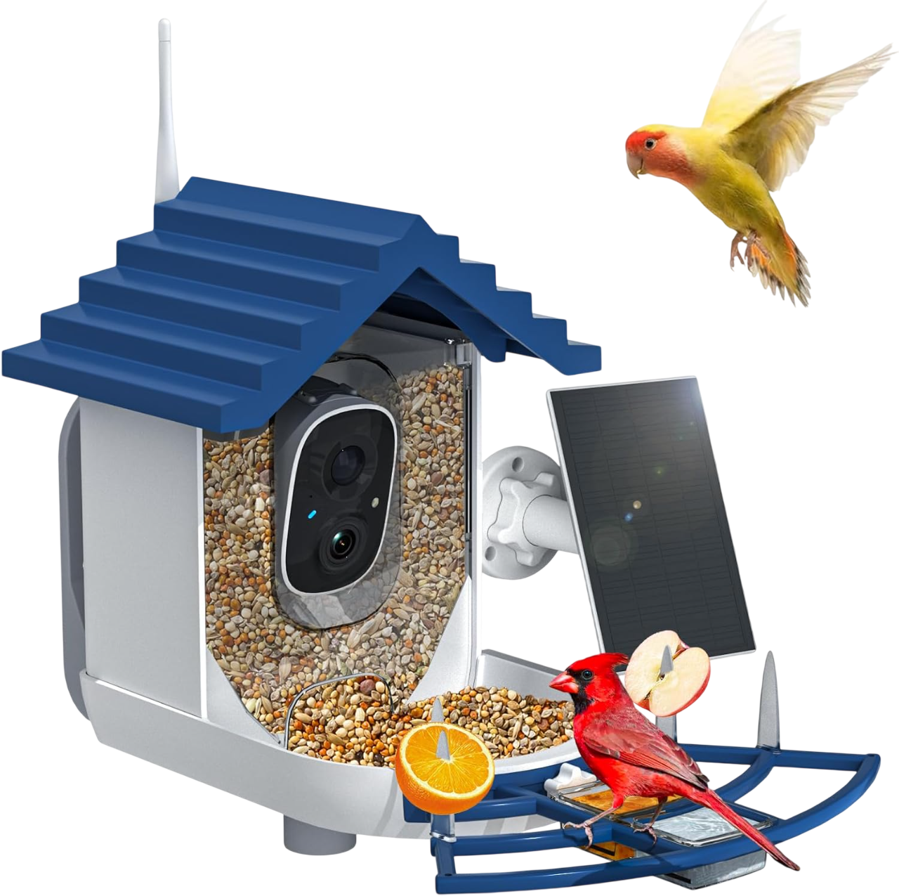 Smart Bird Feeder with Camera Solar Powered