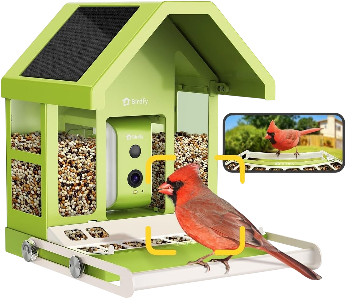 Smart Bird Feeder with Camera (AI Lifetime Free)