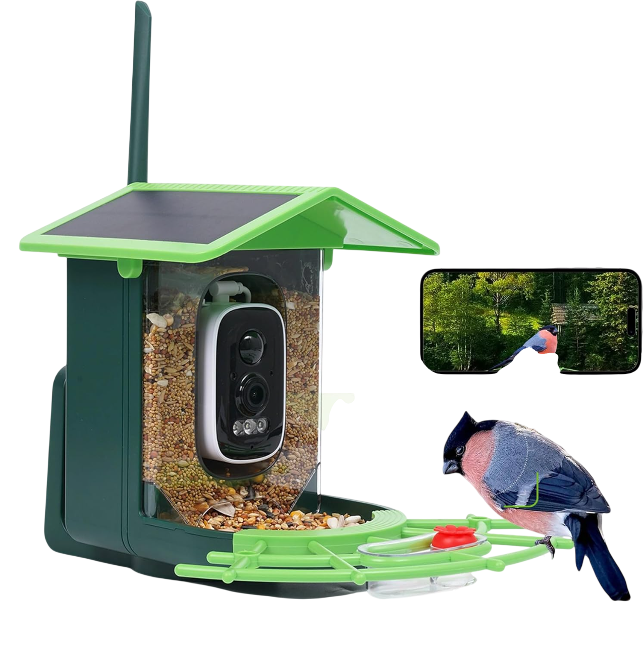 Bird Feeder with Camera (Green) by Hello Birdie