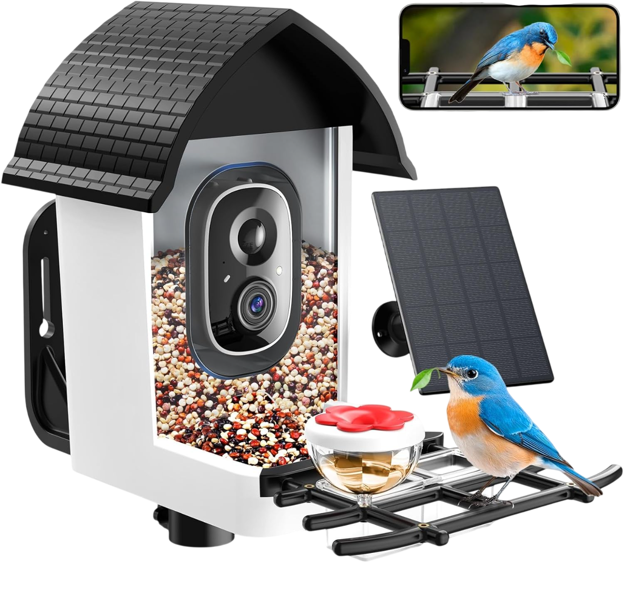 Hello Birdie Smart Bird Feeder with Camera