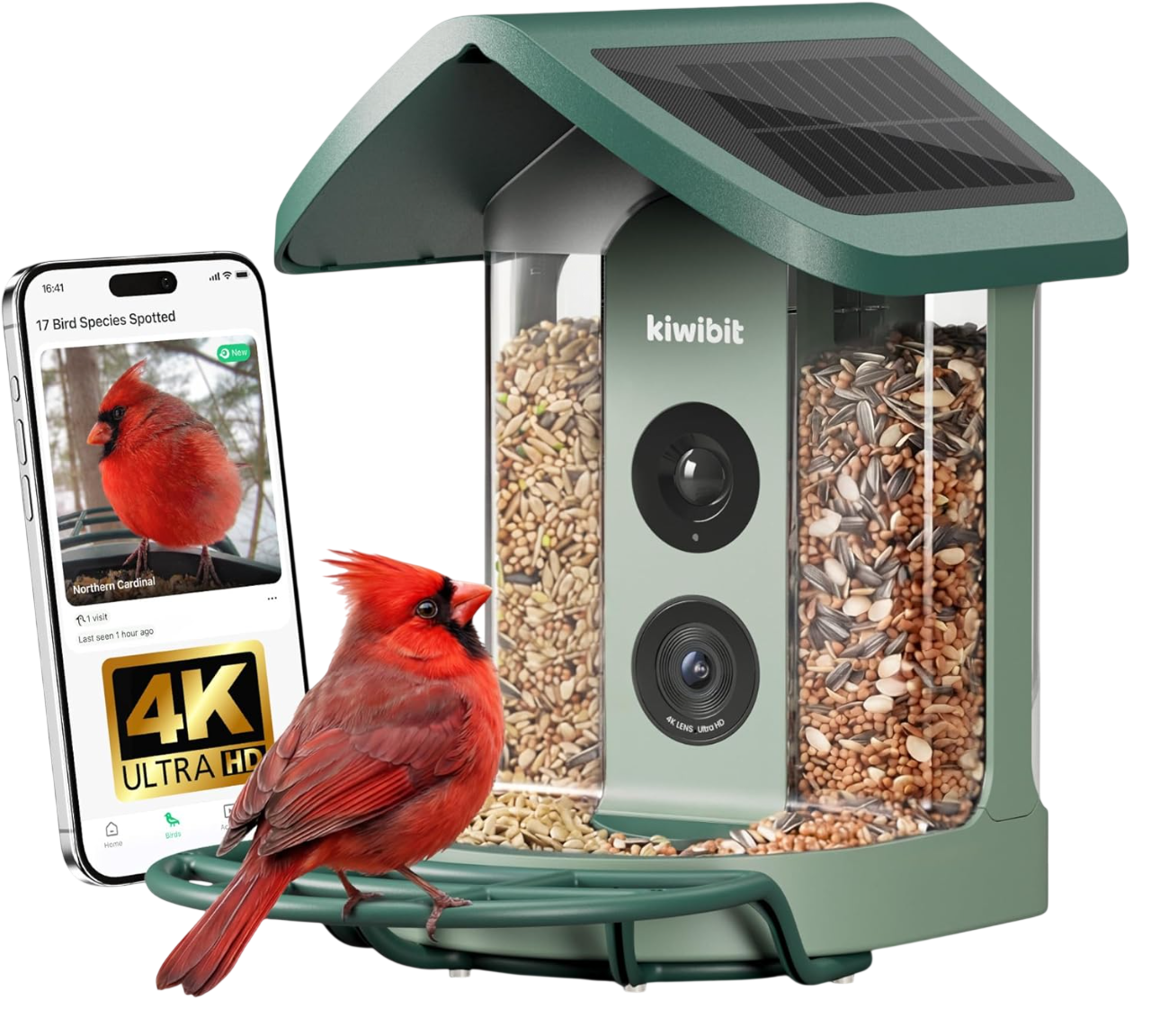 Solar Smart Bird Feeder with Camera, Green