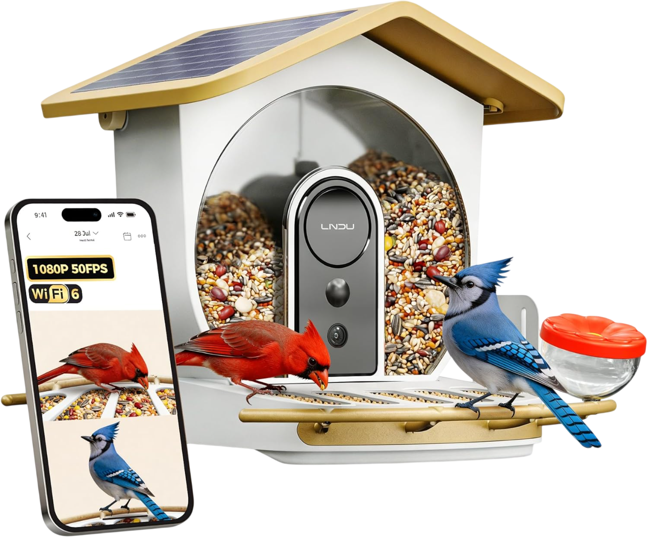 Hello Birdie Dual Cameras Smart Bird Feeder