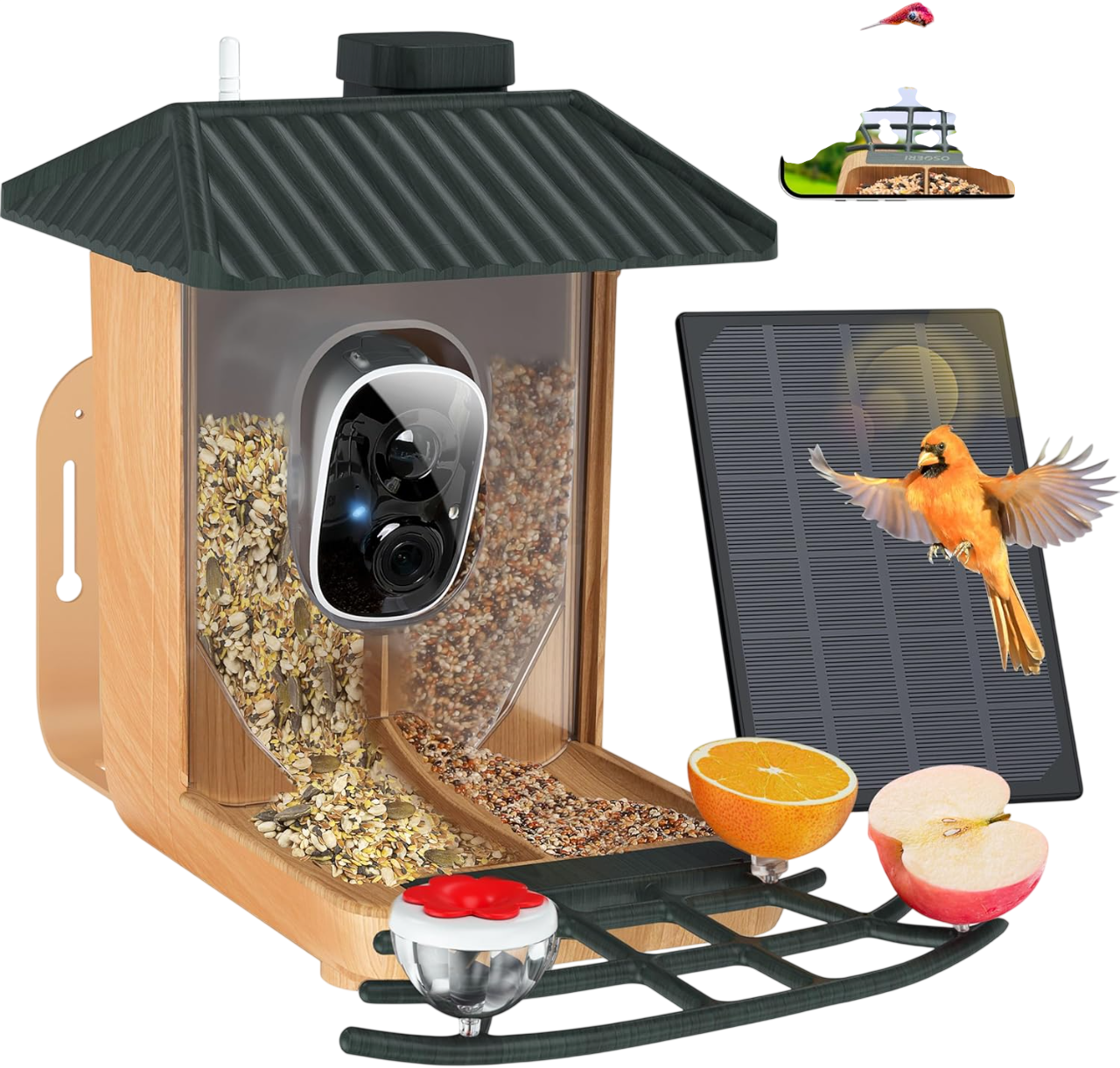Smart Bird Feeder with Camera, 1080P HD by Hello Birdie